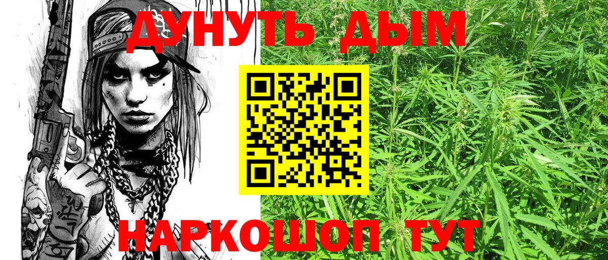 Шишки марихуана марихуана Гатчина