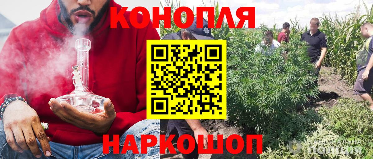 Канабис Ganja  Вход с VPN  Бошки Шишки THC 21%  Канабис SATIVA & INDICA  Гатчина 